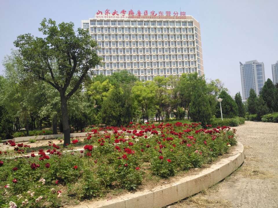 东营鸿港医院单位图片