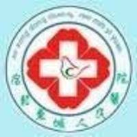 宿松东城医院 logo